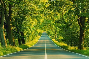 Thị trường tài chính 24h: Đáy 650 điểm chưa thực sự vững chắc?