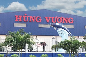 Sau hơn 10 năm lên sàn, Hùng Vương (HVG) bị hủy niêm yết bắt buộc