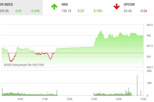 Giao dịch chứng khoán chiều 13/10: MSN và CTG giữ nhịp cho thị trường