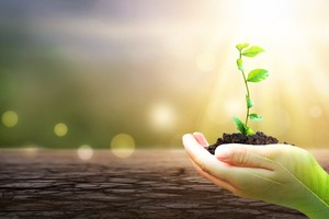 Góc nhìn giao dịch chứng khoán tuần mới: Cổ phiếu ngân hàng tiếp tục tạo sóng sau Thông tư 03?