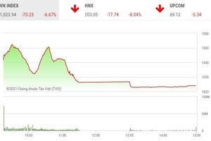 Giao dịch chứng khoán phiên chiều 28/1: Gần 400 mã giảm sàn, VN-Index có ngày giảm kỷ lục
