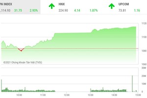 Giao dịch chứng khoán phiên chiều 9/2: Tưng bừng đón Tết