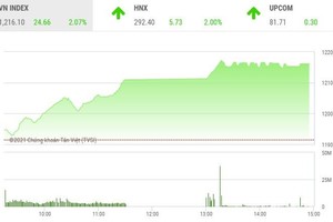 Giao dịch chứng khoán phiên 1/4: VN-Index lập đỉnh lịch sử mới, cổ phiếu chứng khoán bùng nổ