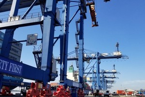 Xếp dỡ Tân Cảng (TCL) chia cổ tức 42% bằng tiền mặt