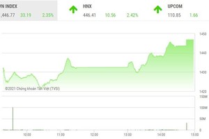 Giao dịch chứng khoán phiên chiều 7/12: VN-Index hồi phục hơn 33 điểm, thanh khoản thấp nhất 1 tháng rưỡi