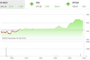 Giao dịch chứng khoán phiên chiều 20/1: Hơn 150 mã tăng kịch trần, thị trường có phiên hồi phục mạnh