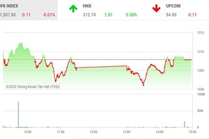 Giao dịch chứng khoán phiên chiều 9/6: Thanh khoản lại suy yếu, VN-Index chững lại