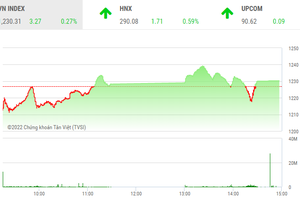 Giao dịch chứng khoán phiên chiều 14/6: Nhóm dầu khí giúp thị trường có phiên hồi phục nhẹ