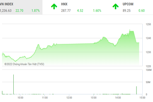 Giao dịch chứng khoán phiên chiều 16/6: Ngày đáo hạn phái sinh, VN-Index hạ thấp độ cao trong đợt ATC