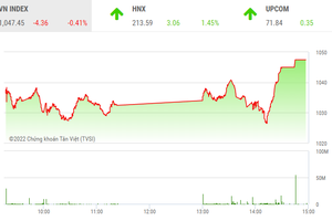Giao dịch chứng khoán phiên chiều 13/12: Nhận trợ lực, thị trường nhảy vọt