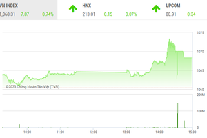 Giao dịch chứng khoán phiên chiều 18/5: VN-Index để tuột mốc 1.070 điểm, DIG bị bán tháo