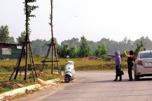 Đất nền đấu giá đang rất được quan tâm.