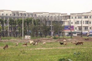 Dự án có “điểm nghẽn” pháp lý sẽ được khơi thông.