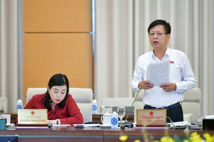 Phó chủ nhiệm Ủy ban Pháp luật Nguyễn Trường Giang phát biểu tại phiên thảo luận.