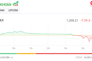 Cổ phiếu HNG, HBC "rực cháy" trong ngày chào tạm biệt sàn HOSE