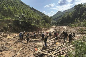 Cả công ty bảo hiểm lẫn tái bảo hiểm đang khẩn trương thực hiện bồi thường thiệt hại do bão lũ.