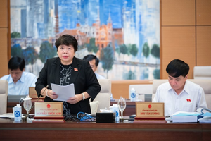 Chủ nhiệm Ủy ban Xã hội Nguyễn Thúy Anh trình bày báo cáo thẩm tra sơ bộ.