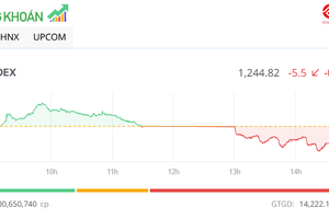 Bluechip gây sức ép, VN-Index đảo chiều giảm trong phiên chiều 12/11