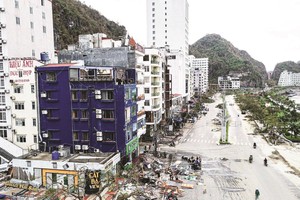 Chi phí bồi thường thiệt hại do bão lũ tăng vọt đã tác động tiêu cực tới lợi nhuận của hầu hết công ty bảo hiểm phi nhân thọ.