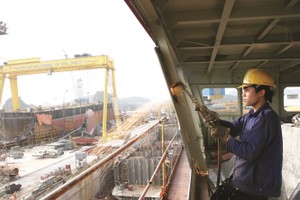 Global Pacific đang đàm phán vay vốn ngân hàng để đầu tư 4 tàu mới.