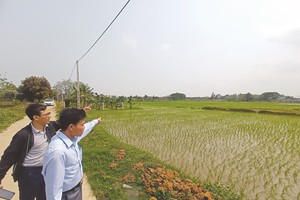 Rao bán đất nền tại Hoà Lạc. Ảnh: Dũng Minh.