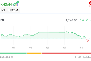 Cổ phiếu NAB có phiên kỷ lục, thị trường hồi phục nhẹ trong phiên chiều 7/1