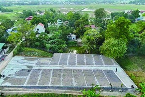 Đất nền dự án, đất thổ cư vùng ven, tỉnh lẻ được săn đón. Ảnh: Dũng Minh.