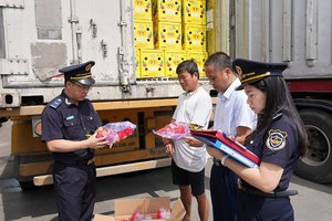 Phát hiện vi phạm trong lô hàng quá cảnh. Ảnh: CHQ.