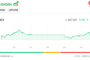 Nhóm bluechip giúp sức, VN-Index tăng gần 10 điểm trong phiên 17/6