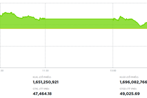 Lực bán gia tăng ở vùng giá cao, VN-Index điều chỉnh mạnh