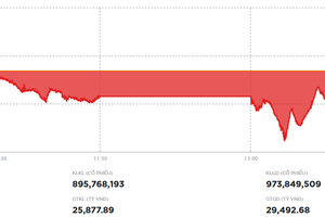 Thanh khoản tăng mạnh, VN-Index điều chỉnh nhẹ sau chuỗi tăng liên tiếp