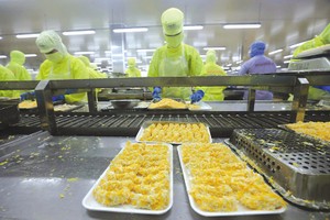 Cải thiện môi trường đầu tư kinh doanh phải đồng bộ từ cơ chế, chính sách, thủ tục hành chính, nền tảng số, đến bảo hộ quyền sở hữu trí tuệ, nhằm khuyến khích khu vực tư nhân phát triển. Ảnh: Đức Thanh.