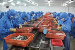 Chính sách thuế giá trị gia tăng mới góp phần tháo gỡ khó khăn cho sản xuất nông nghiệp và thủy sản.