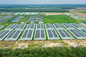 Giữa “tâm bão” ngành chăn nuôi, BAF nỗ lực giữ biên lợi nhuận 