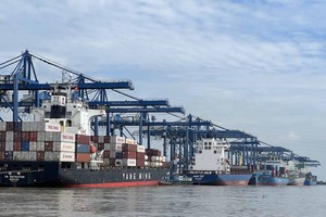 Doanh nghiệp có thể nộp hồ sơ tự công bố tại Sở An toàn thực phẩm TP.HCM và được giải quyết thật nhanh để thông quan. Ảnh: Trọng Tín.