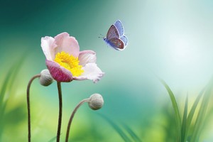 Dòng tiền thông minh luôn biết chọn đúng địa chỉ để chảy vào.