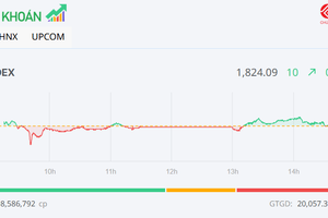 Nhóm Gelex khởi sắc, VN-Index tăng 10 điểm trong phiên cuối cùng của năm Âm lịch Ất Tỵ