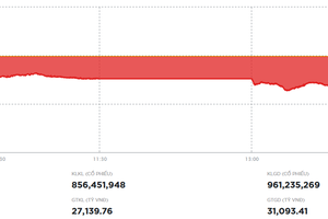 Nhiều bluechip nới đà giảm, VN-Index thủng vùng đáy cũ