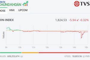Sắc đỏ lấn át, VN-Index quay đầu giảm trong phiên ngày 19/6