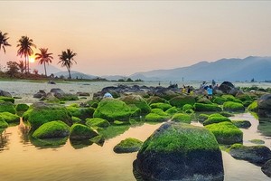 Khu vực bãi biển Nam Ô, quận Liên Chiểu, TP Đà Nẵng.