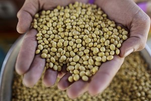 Giá cả hàng hóa quốc tế giảm, "cái bẫy" của... Trung Quốc