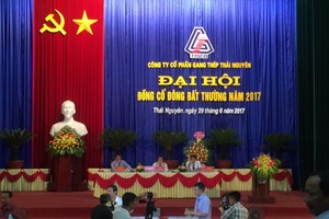 Ông chủ Thái Hưng trở thành Chủ tịch HĐQT Công ty Gang thép Thái Nguyên