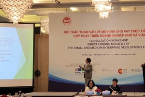 Nhận diện rủi ro cho vay trực tiếp trong hoạt động của Quỹ Phát triển doanh nghiệp nhỏ và vừa