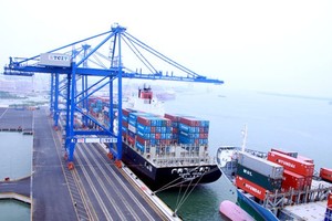 Nhà đầu tư “huyền thoại” của năm: Mua 500 cổ phiếu trở thành cổ đông lớn của công ty có cổ phiếu tăng giá 56 lần chỉ trong chưa đầy 2 tháng