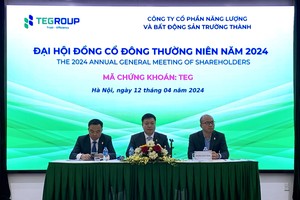 Đại hội đồng cổ đông TEG: Tập trung nguồn lực cho năng lượng, có lộ trình rút khỏi mảng bất động sản