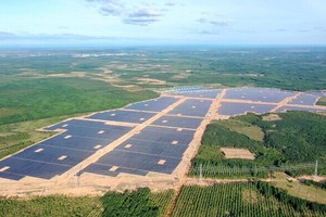 Sở hữu 7 dự án năng lượng tái tạo quy mô khủng, “đại gia” Philippines nêu lý do đầu tư tại Việt Nam 