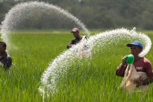 Ngành phân bón, hoá chất: Lợi nhuận DGC đi lùi, BFC, DPM, LAS, NFC tăng trưởng vượt trội trong 6 tháng đầu năm