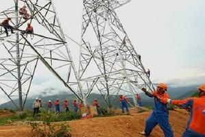 Nửa đầu năm 2024, Sông Đà 11 (SJE) báo lãi gấp 4 lần nhờ dự án đường dây 500kV Quảng Trạch - Phố Nối