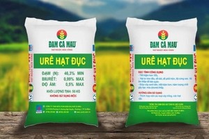 Đạm Cà Mau (DCM): Doanh thu thuần quý III/2024 giảm 12%, xuống 2.634 tỷ đồng