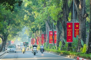 Dragon Capital: VN-Index lập đỉnh, dòng tiền trong nước trở thành trụ cột dài hạn